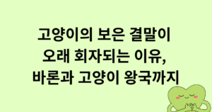 고양이의 보은 결말이 오래 회자되는 이유, 바론과 고양이 왕국까지